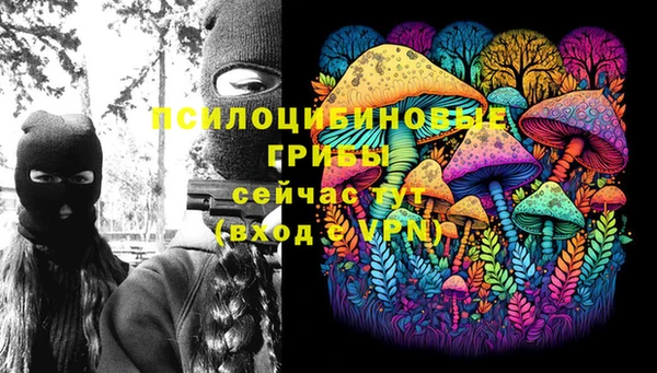 PSILOCYBIN Белоозёрский